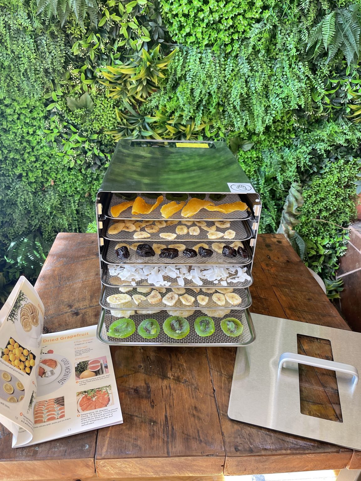 Deshidratadora Profesional de 6 Bandejas