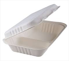 Clamshell Bagasse 2 DIV 1000ml (300und)